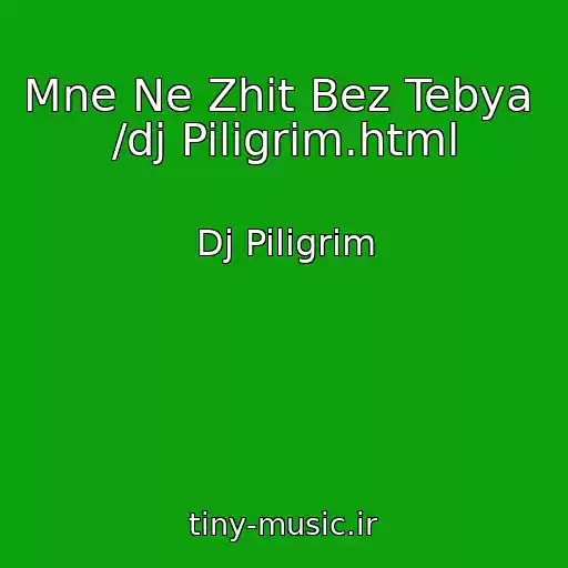 کاور آهنگ Mne Ne Zhit Bez Tebya  /dj Piligrim.html از Dj Piligrim