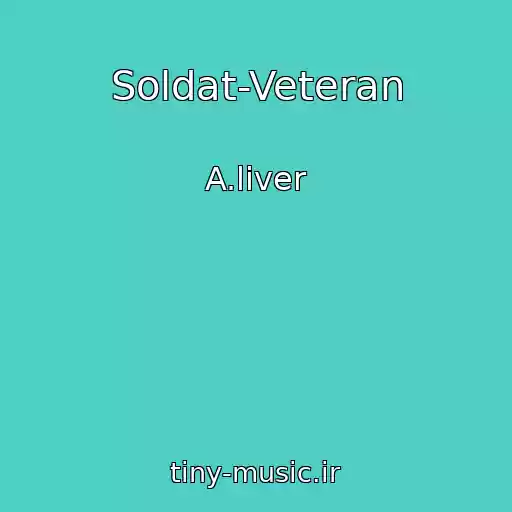 کاور آهنگ Soldat-Veteran از A.liver