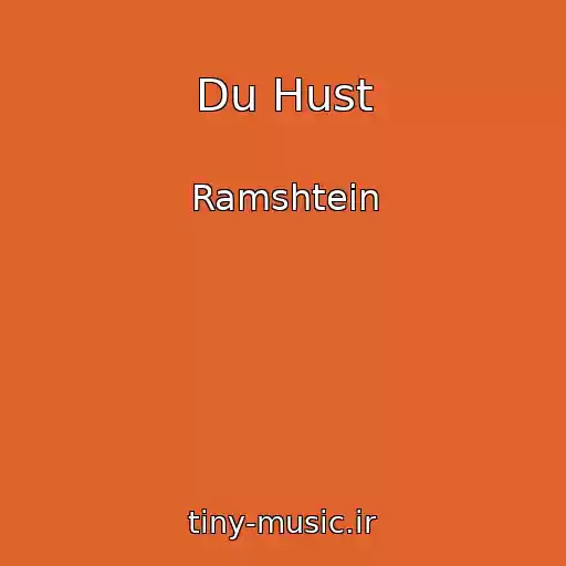 کاور آهنگ Du Hust از Ramshtein