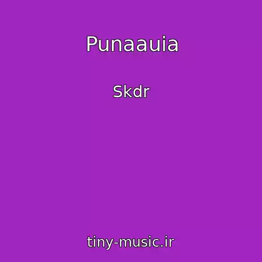 کاور آهنگ Punaauia از Skdr