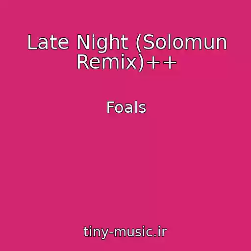 کاور آهنگ Late Night (Solomun Remix)++ از Foals