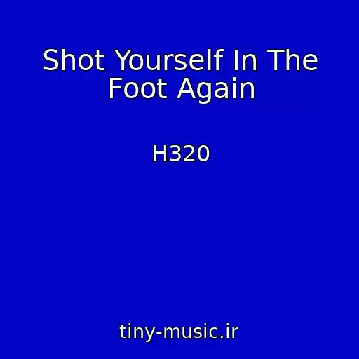 کاور آهنگ Shot Yourself In The Foot Again از H320