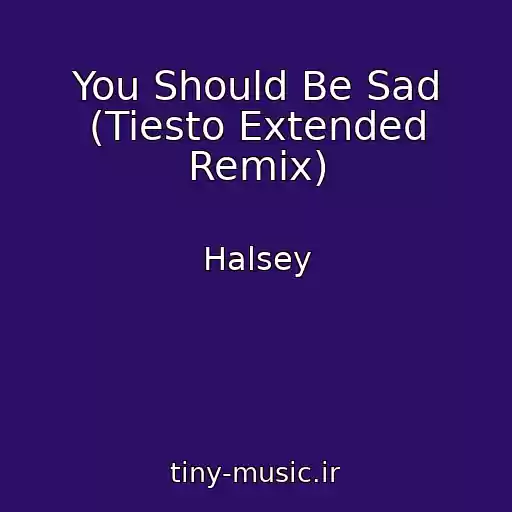 کاور آهنگ You Should Be Sad (Tiesto Extended Remix) از Halsey