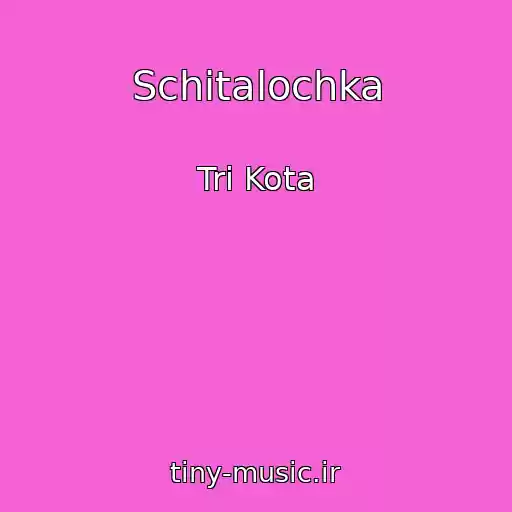کاور آهنگ Schitalochka از Tri Kota