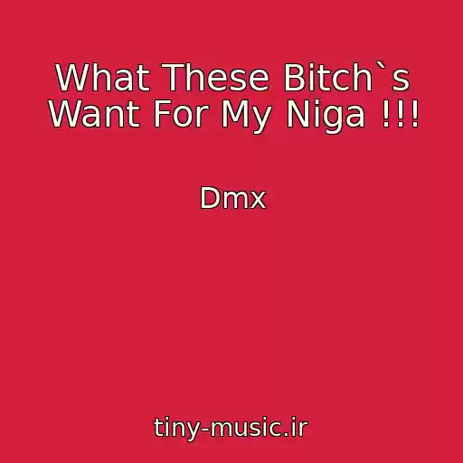 کاور آهنگ What These Bitch`s Want For My Niga !!! از Dmx