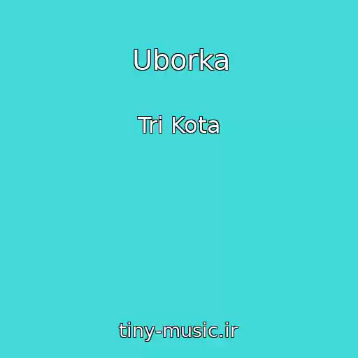 کاور آهنگ Uborka از Tri Kota