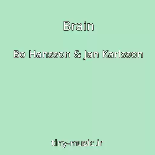 کاور آهنگ Brain از Bo Hansson & Jan Karlsson
