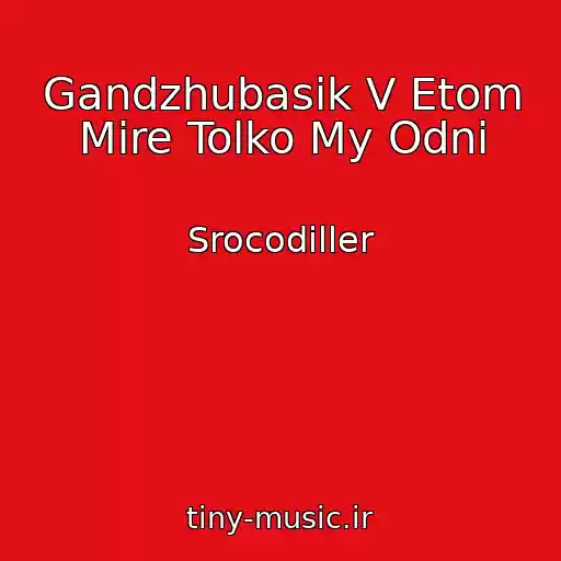 کاور آهنگ Gandzhubasik V Etom Mire Tolko My Odni از Srocodiller