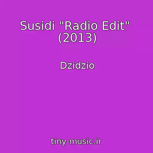 کاور آهنگ Susіdi "Radio Edit"  (2013) از Dzidzio