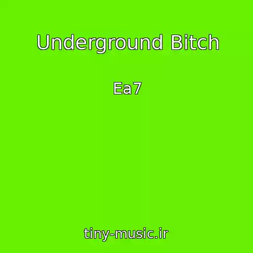 کاور آهنگ Underground Bitch از Ea7