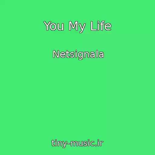 کاور آهنگ You My Life از Netsignala