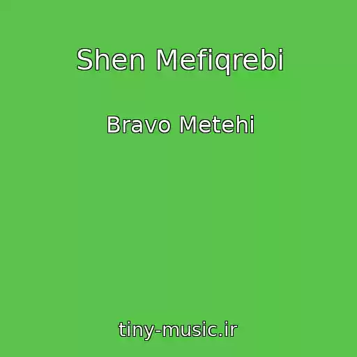 کاور آهنگ Shen Mefiqrebi از Bravo Metehi