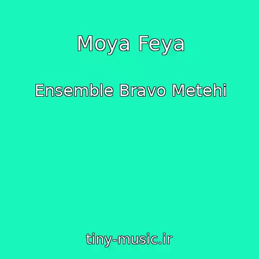 کاور آهنگ Moya Feya از Ensemble Bravo Metehi