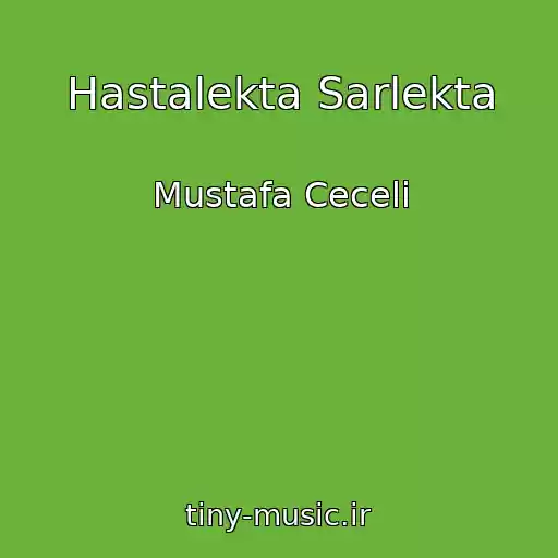 کاور آهنگ Hastalekta Sarlekta از Mustafa Ceceli