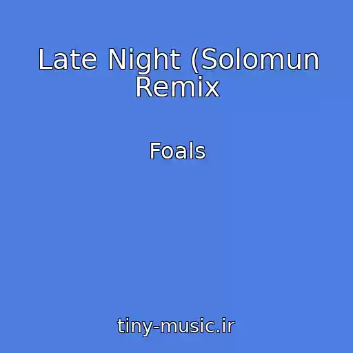 کاور آهنگ Late Night (Solomun Remix از Foals