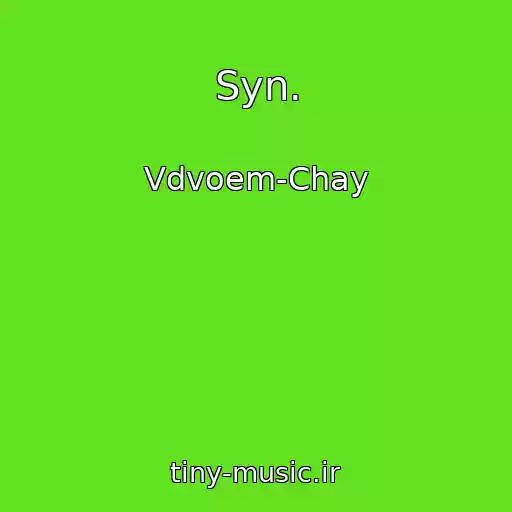 کاور آهنگ Syn. از Vdvoem-Chay