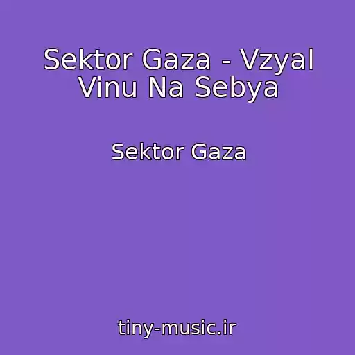 کاور آهنگ Sektor Gaza - Vzyal Vinu Na Sebya از Sektor Gaza