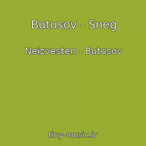 کاور آهنگ Butusov - Sneg از Neizvesten - Butusov