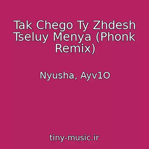 کاور آهنگ Tak Chego Ty Zhdesh Tseluy Menya (Phonk Remix) از Nyusha, Ayv1O
