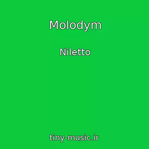 کاور آهنگ Molodym از Niletto