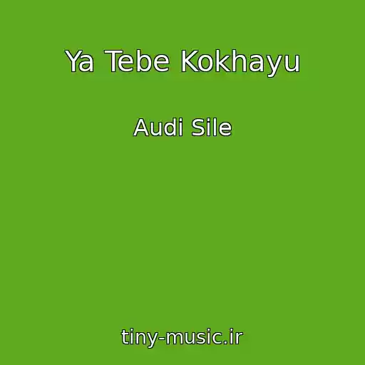 کاور آهنگ Ya Tebe Kokhayu از Audi Sile