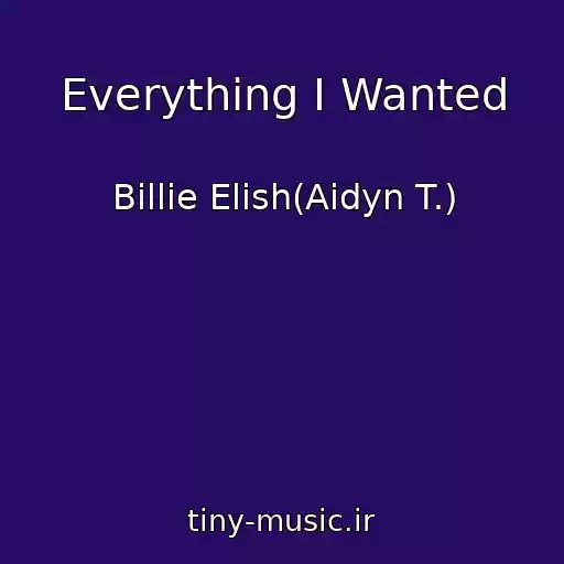 کاور آهنگ Everything I Wanted از Billie Elish(Aidyn T.)