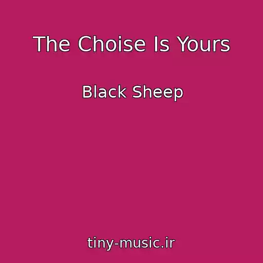کاور آهنگ The Choise Is Yours از Black Sheep