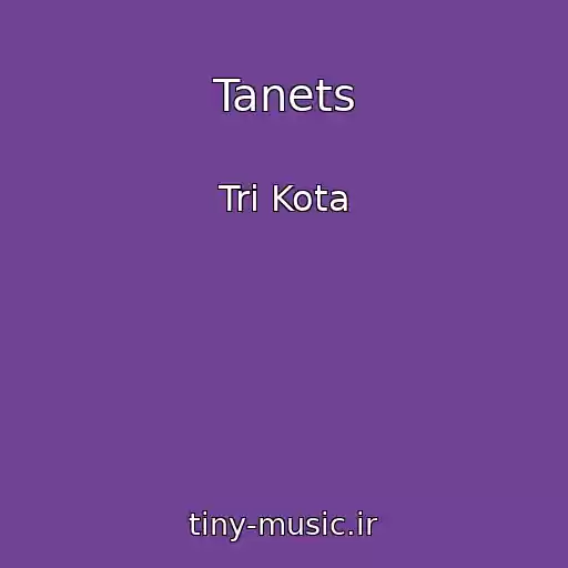کاور آهنگ Tanets از Tri Kota