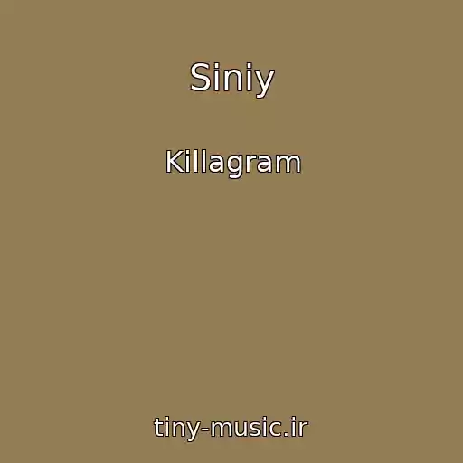 کاور آهنگ Siniy از Killagram