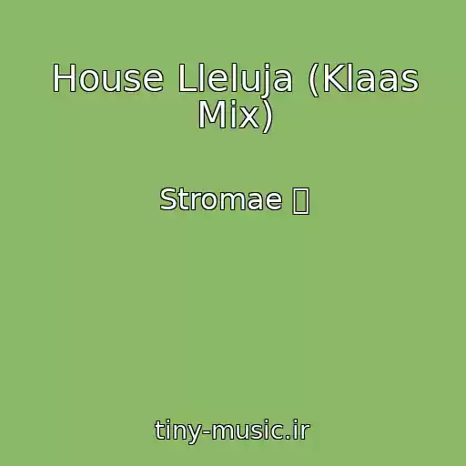 کاور آهنگ House Lleluja (Klaas Mix) از Stromae 