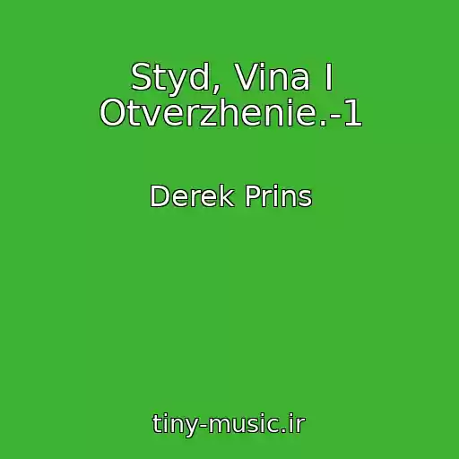 کاور آهنگ Styd, Vina I Otverzhenie.-1 از Derek Prins
