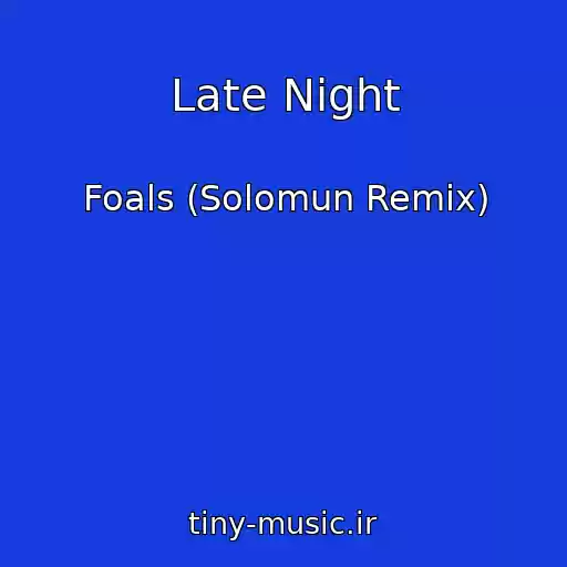 کاور آهنگ Late Night از Foals (Solomun Remix)