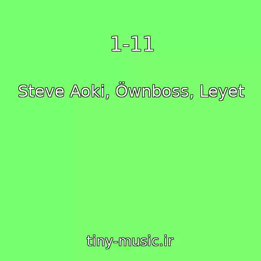 کاور آهنگ 1-11 از Steve Aoki, Öwnboss, Leyet