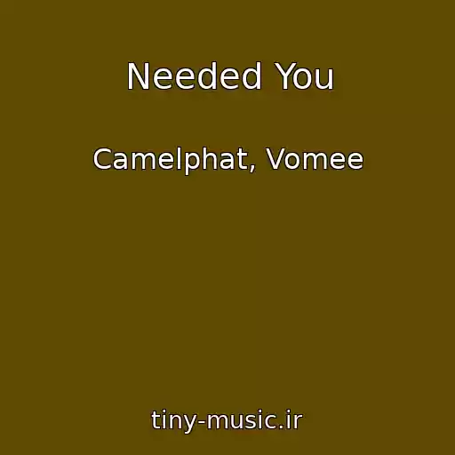 کاور آهنگ Needed You از Camelphat, Vomee