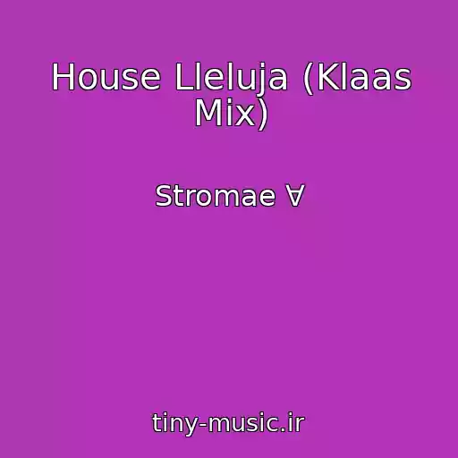 کاور آهنگ House Lleluja (Klaas Mix) از Stromae ∀