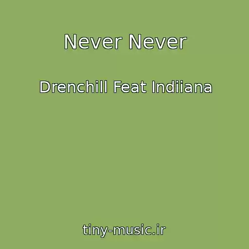 کاور آهنگ Never Never از Drenchill Feat Indiiana