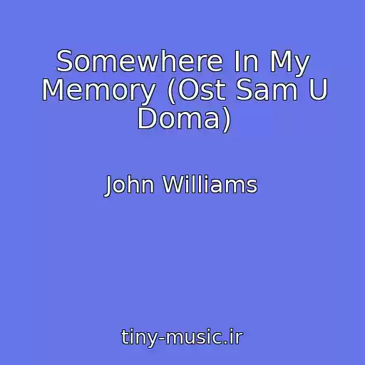 کاور آهنگ Somewhere In My Memory (Ost Sam U Doma) از John Williams
