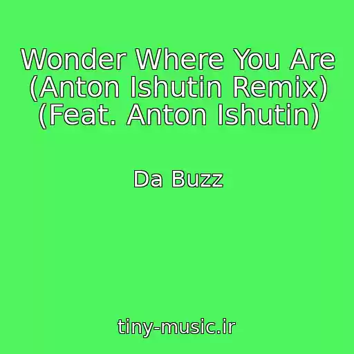 کاور آهنگ Wonder Where You Are (Anton Ishutin Remix) (Feat. Anton Ishutin) از Da Buzz