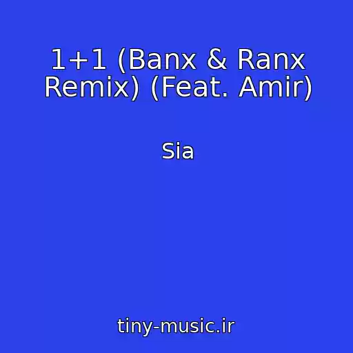 کاور آهنگ 1+1 (Banx & Ranx Remix) (Feat. Amir) از Sia
