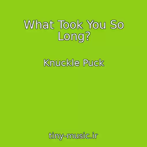کاور آهنگ What Took You So Long? از Knuckle Puck