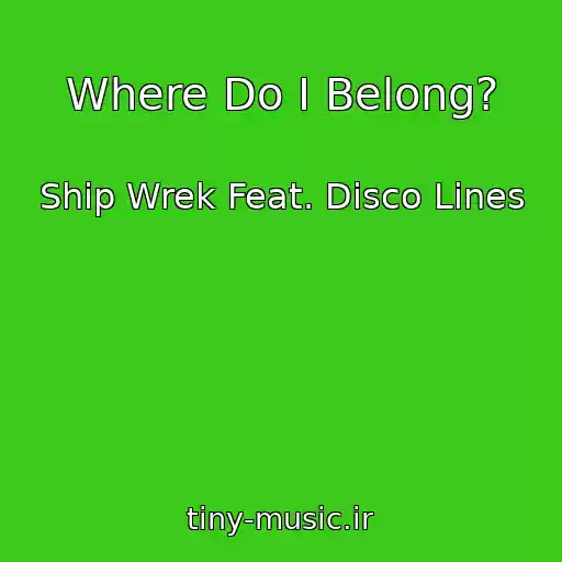کاور آهنگ Where Do I Belong? از Ship Wrek Feat. Disco Lines