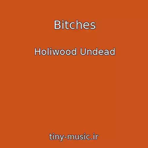 کاور آهنگ Bitches از Holiwood Undead