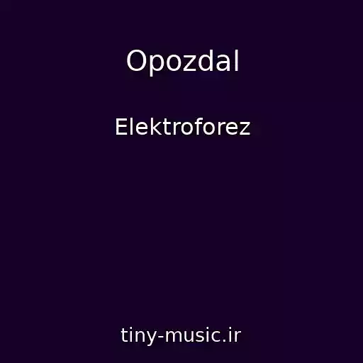 کاور آهنگ Opozdal از Elektroforez