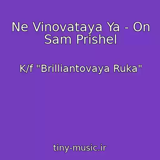 کاور آهنگ Ne Vinovataya Ya - On Sam Prishel از K/f "Brilliantovaya Ruka"
