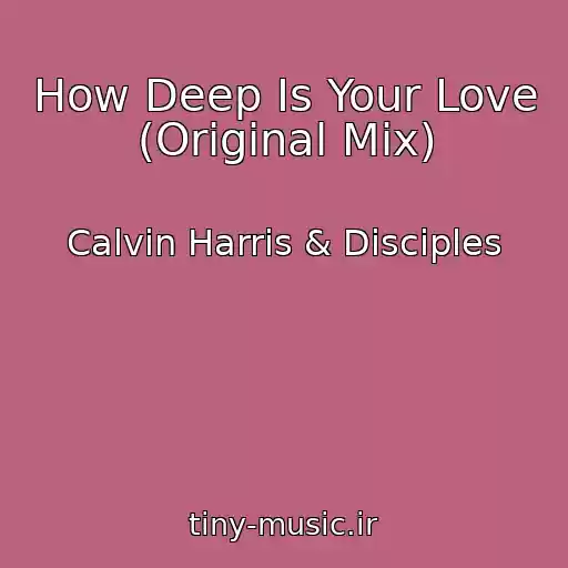 کاور آهنگ How Deep Is Your Love (Original Mix) از Calvin Harris & Disciples