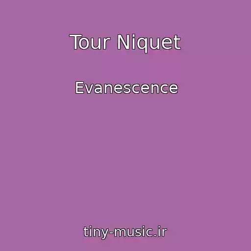 کاور آهنگ Tour Niquet از Evanescence