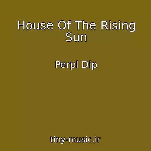 کاور آهنگ House Of The Rising Sun از Perpl Dip