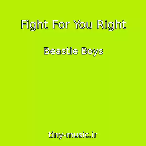 کاور آهنگ Fight For You Right از Beastie Boys