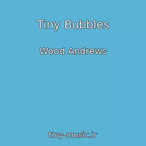 کاور آهنگ Tiny Bubbles از Wood Andrews