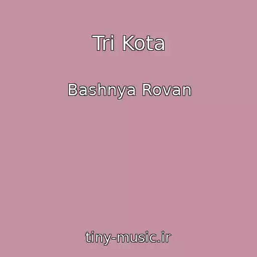 کاور آهنگ Tri Kota از Bashnya Rovan